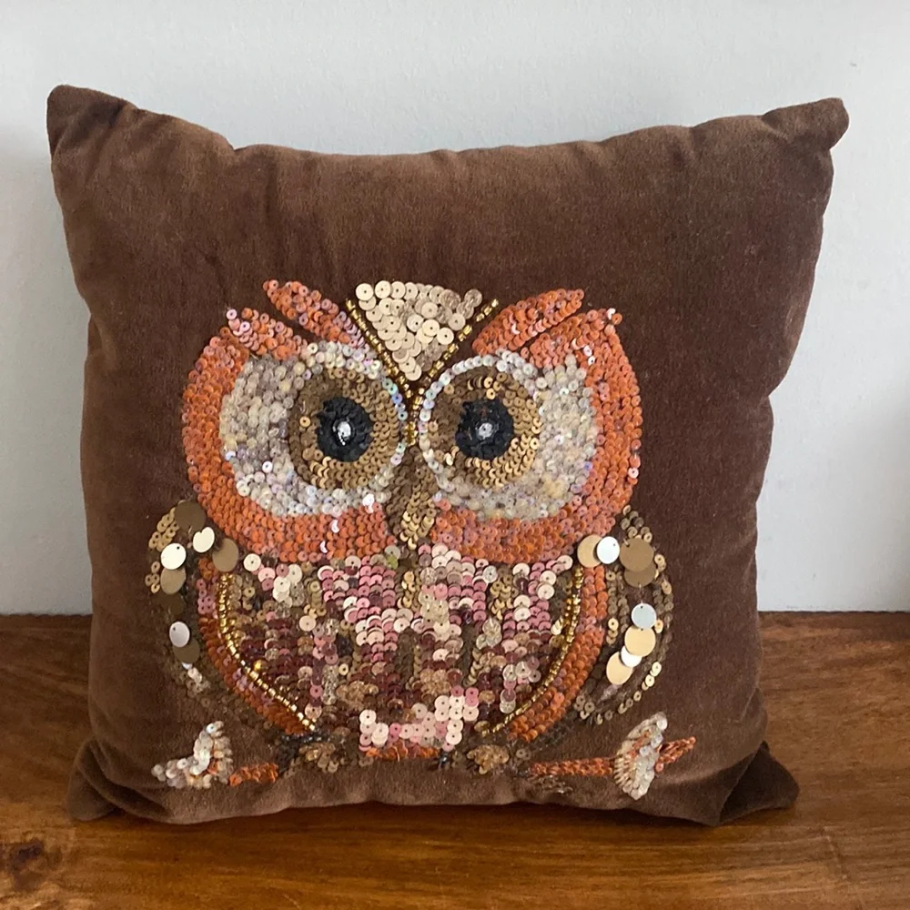NEW. Pier 1 Pillow with Owl. 🦉 - Picture 5 of 16
